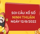 Soi cầu kết quả xổ số Ninh Thuận ngày 12/8/2022 thứ 6 hôm nay