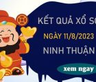 Nhận định XSNT 11/8/2023 soi cầu số đẹp Ninh Thuận